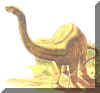 dicraeosaurus.jpg (28083 bytes)
